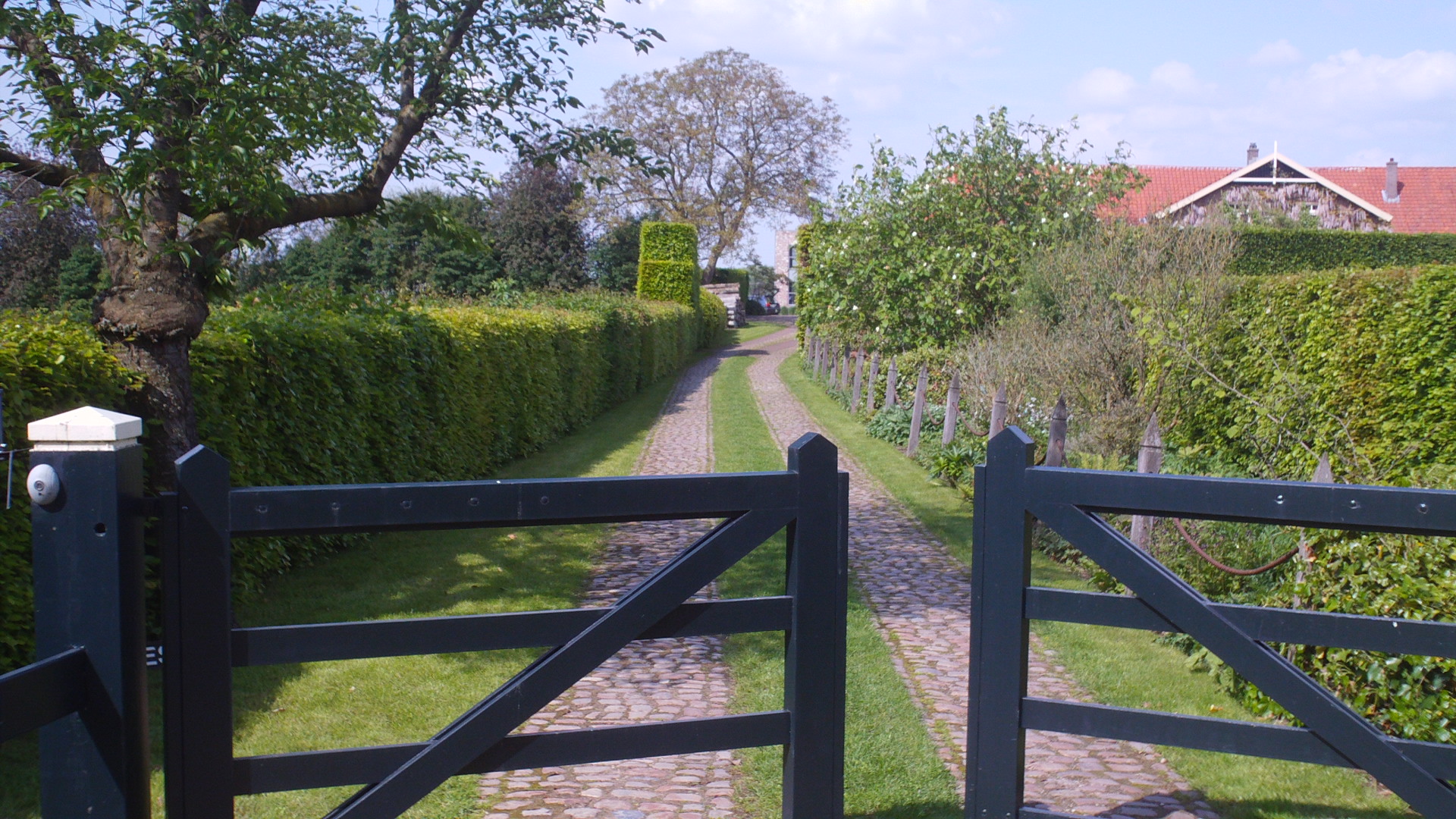 2012 HWK 056.jpg
